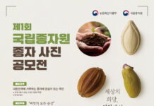 「세상의 희망, 씨앗에서 피어나다」 종자의 가치를 사진으로 담아주세요!