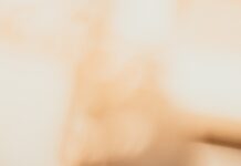 ‘마음 챙김’의 힘, 일상 속 작은 변화에서 찾다 shallow focus photography of purple flower