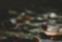 “마음 챙김 식사, 건강을 지키는 새로운 식사 습관” pink and white lotus flower