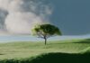 “마음 챙김 명상, 바쁜 일상 속 새로운 건강 트렌드로 떠오르다” A single tree on a vibrant green rolling hill.